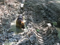 /album/fotogalerie-fotogaleria/img-1815-jpg/