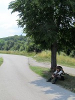 /album/fotogalerie-fotogaleria/img-1716-jpg/