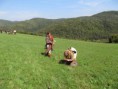 /album/fotogalerie-fotogaleria1/img-2237-jpg/